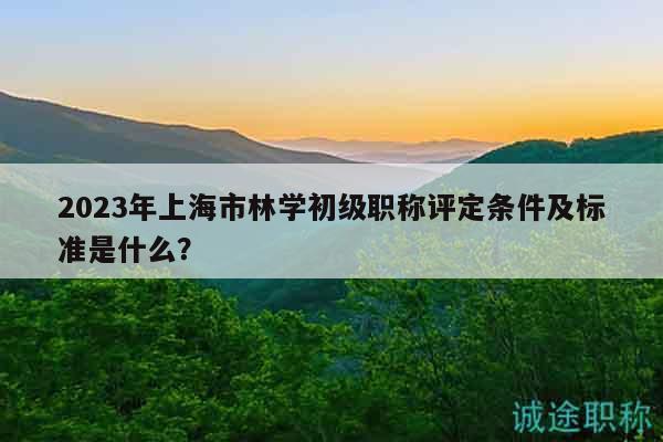 2023年上海市林学初级职称评定条件及标准是什么？