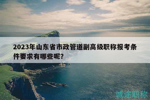 2023年山东省市政管道副高级职称报考条件要求有哪些呢？