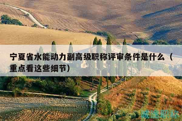 宁夏省水能动力副高级职称评审条件是什么（重点看这些细节）