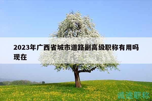 2023年广西省城市道路副高级职称有用吗现在