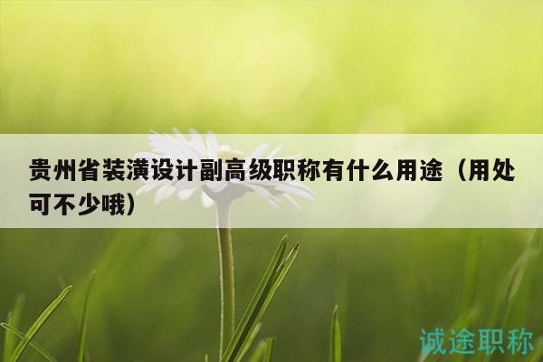 贵州省装潢设计副高级职称有什么用途（用处可不少哦）