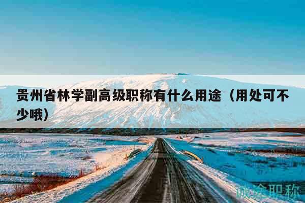 贵州省林学副高级职称有什么用途（用处可不少哦）