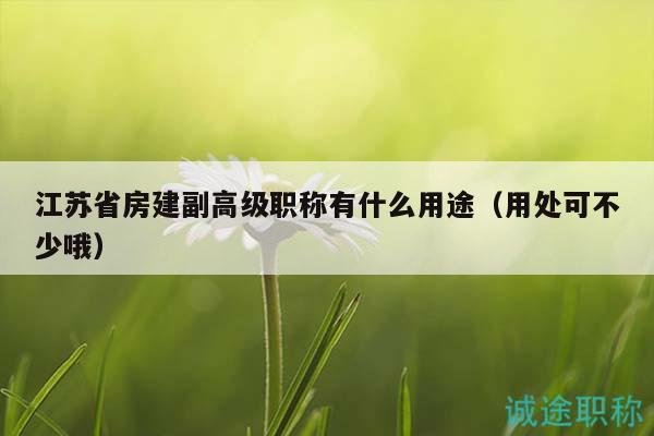 江苏省房建副高级职称有什么用途（用处可不少哦）