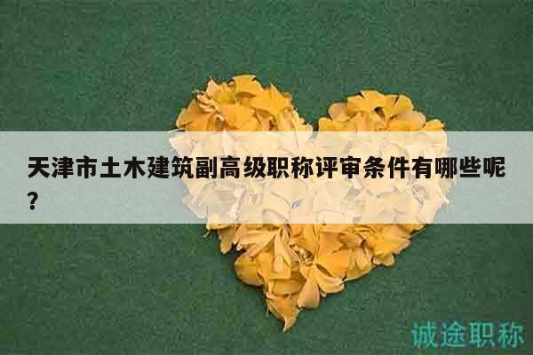 天津市土木建筑副高级职称评审条件有哪些呢？