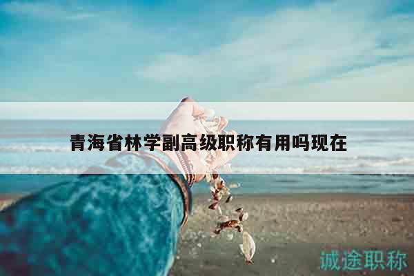 青海省林学副高级职称有用吗现在