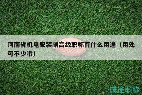 河南省机电安装副高级职称有什么用途（用处可不少哦）