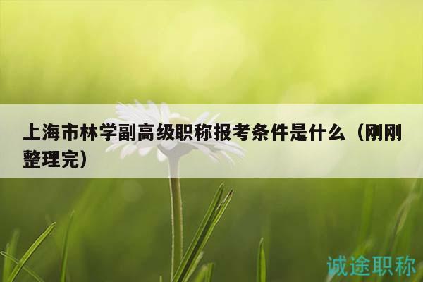 上海市林学副高级职称报考条件是什么（刚刚整理完）