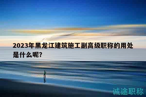 2023年黑龙江建筑施工副高级职称的用处是什么呢？
