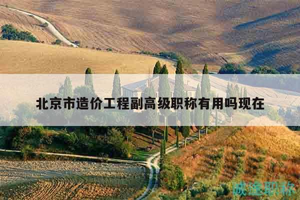 北京市造价工程副高级职称有用吗现在