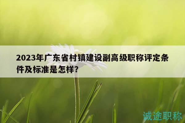 2023年广东省村镇建设副高级职称评定条件及标准是怎样？