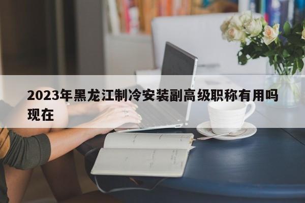 2023年黑龙江制冷安装副高级职称有用吗现在