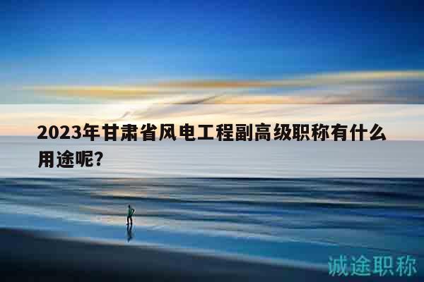 2023年甘肃省风电工程副高级职称有什么用途呢？