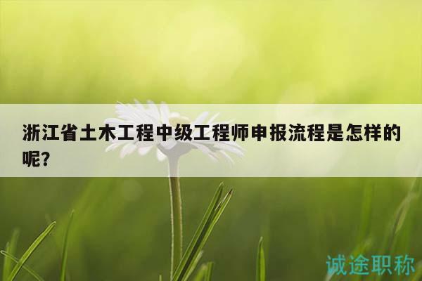 浙江省土木工程中级工程师申报流程是怎样的呢？