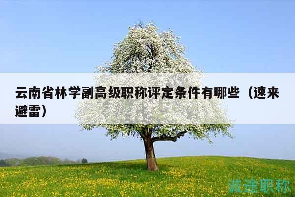 云南省林学副高级职称评定条件有哪些（速来避雷）