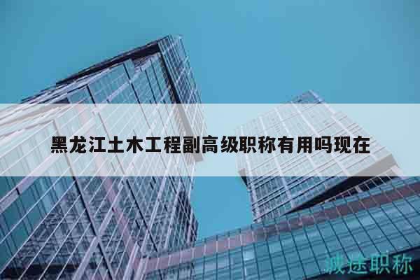 黑龙江土木工程副高级职称有用吗现在