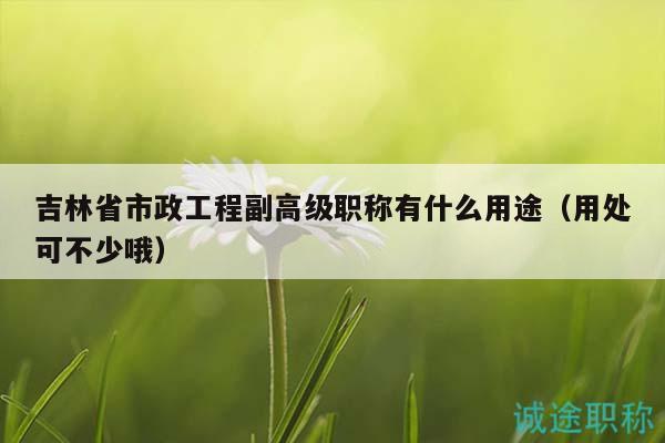 吉林省市政工程副高级职称有什么用途（用处可不少哦）