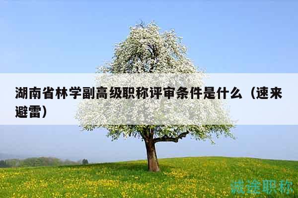 湖南省林学副高级职称评审条件是什么（速来避雷）