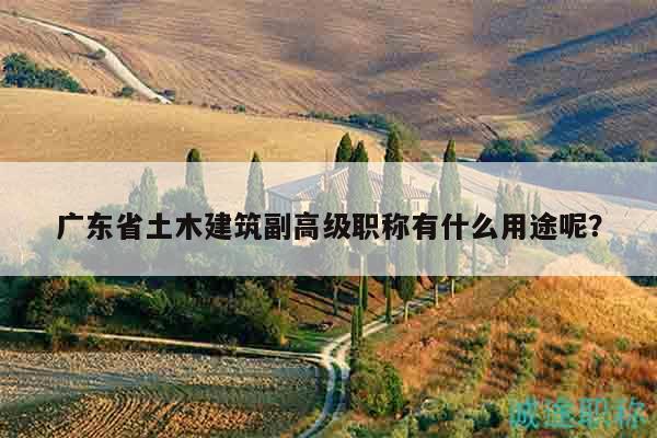 广东省土木建筑副高级职称有什么用途呢？