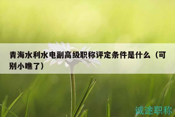 青海水利水电副高级职称评定条件是什么（可别小瞧了）