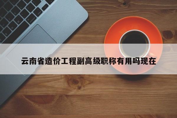 云南省造价工程副高级职称有用吗现在
