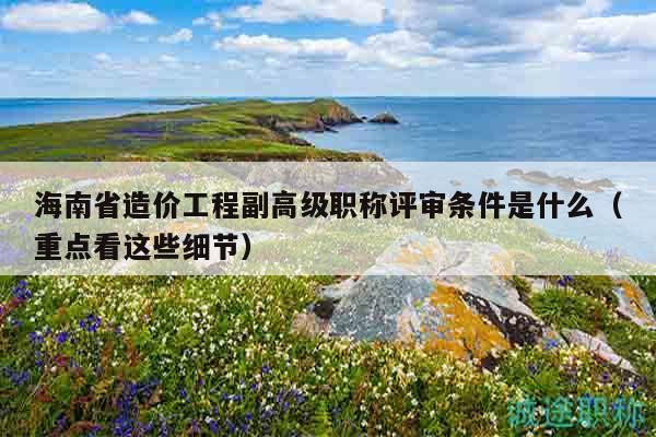 海南省造价工程副高级职称评审条件是什么（重点看这些细节）
