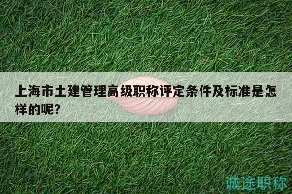 上海市土建管理高级职称评定条件及标准是怎样的呢？