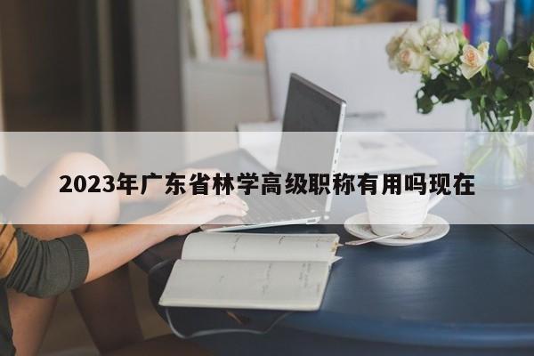 2023年广东省林学高级职称有用吗现在