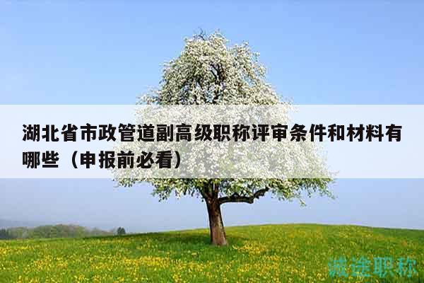 湖北省市政管道副高级职称评审条件和材料有哪些（申报前必看）