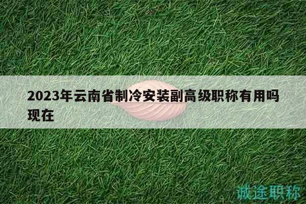 2023年云南省制冷安装副高级职称有用吗现在