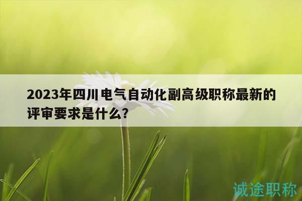 2023年四川电气自动化副高级职称最新的评审要求是什么？