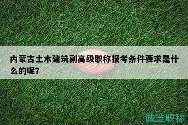 内蒙古土木建筑副高级职称报考条件要求是什么的呢？