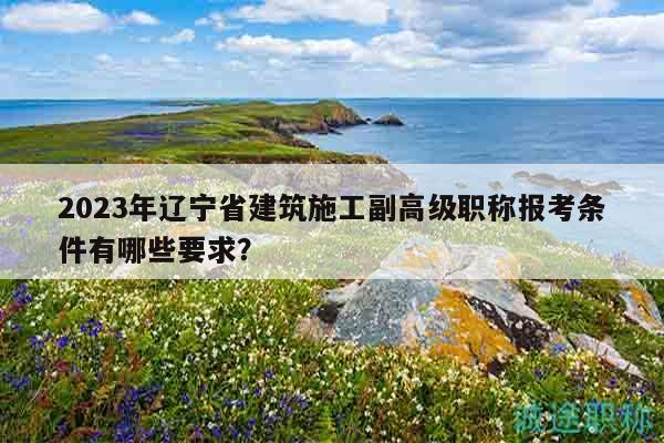2023年辽宁省建筑施工副高级职称报考条件有哪些要求？