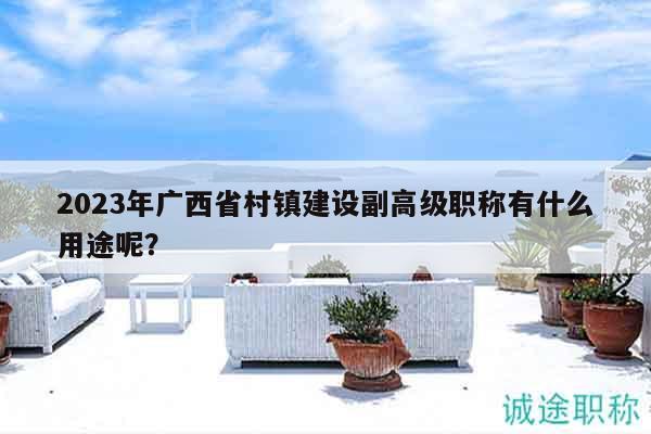 2023年广西省村镇建设副高级职称有什么用途呢？