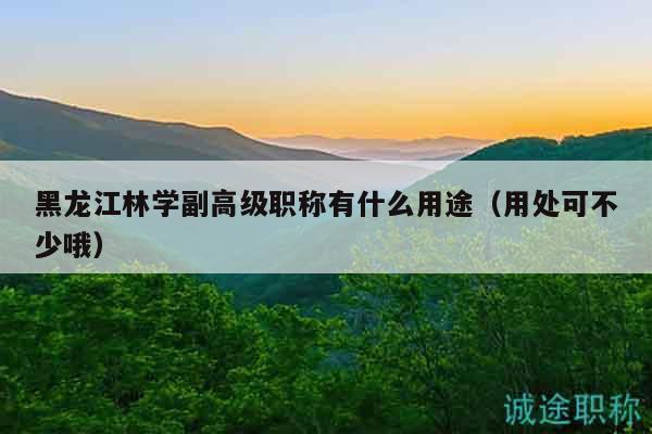 黑龙江林学副高级职称有什么用途（用处可不少哦）