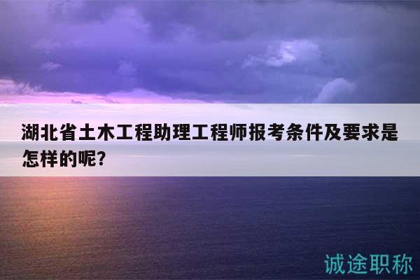 湖北省土木工程助理工程师报考条件及要求是怎样的呢？