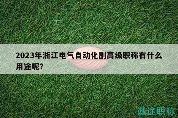 2023年浙江电气自动化副高级职称有什么用途呢？