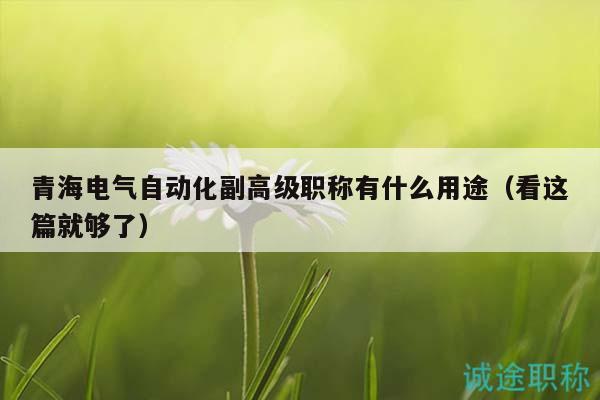 青海电气自动化副高级职称有什么用途（看这篇就够了）