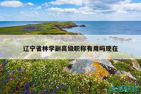 辽宁省林学副高级职称有用吗现在