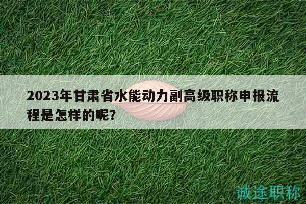 2023年甘肃省水能动力副高级职称申报流程是怎样的呢？