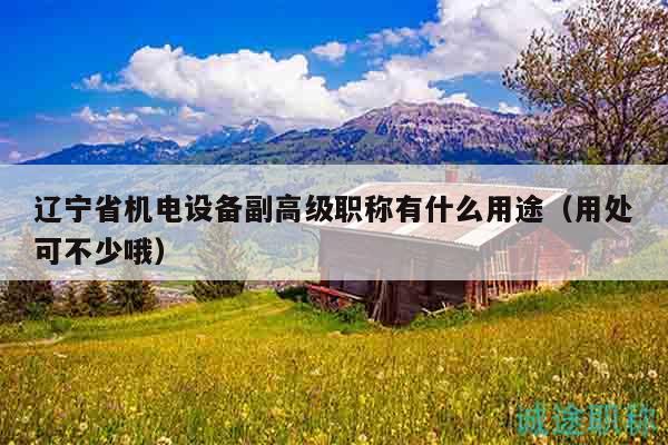 辽宁省机电设备副高级职称有什么用途（用处可不少哦）