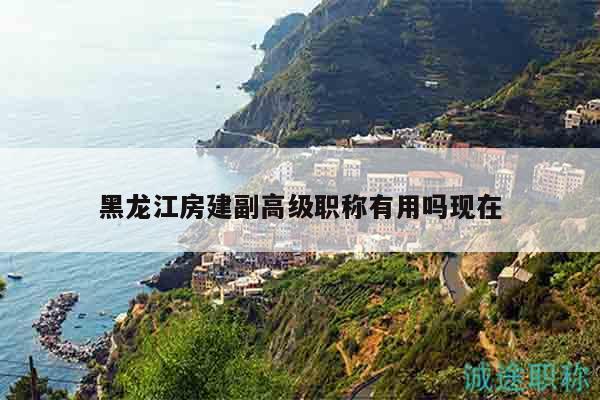 黑龙江房建副高级职称有用吗现在