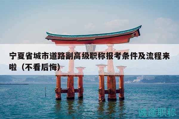 宁夏省城市道路副高级职称报考条件及流程来啦（不看后悔）
