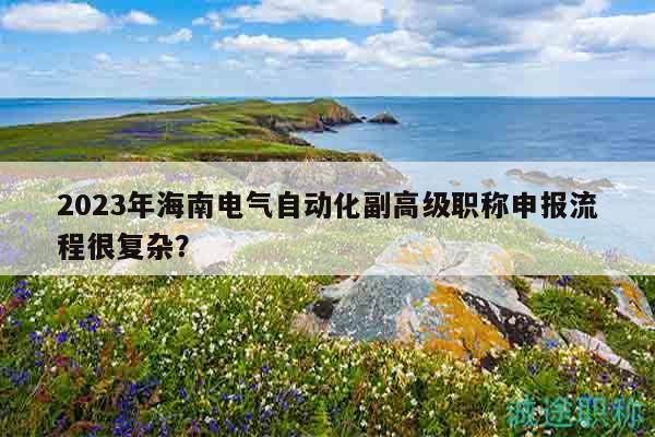 2023年海南电气自动化副高级职称申报流程很复杂？