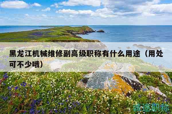 黑龙江机械维修副高级职称有什么用途（用处可不少哦）