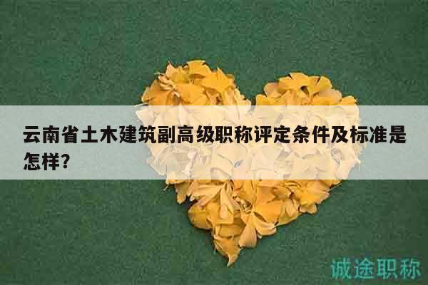 云南省土木建筑副高级职称评定条件及标准是怎样？