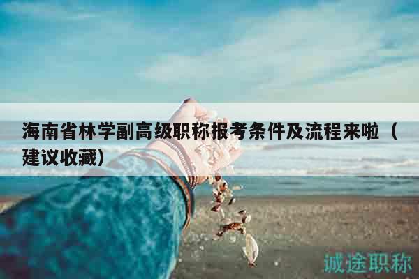 海南省林学副高级职称报考条件及流程来啦（建议收藏）