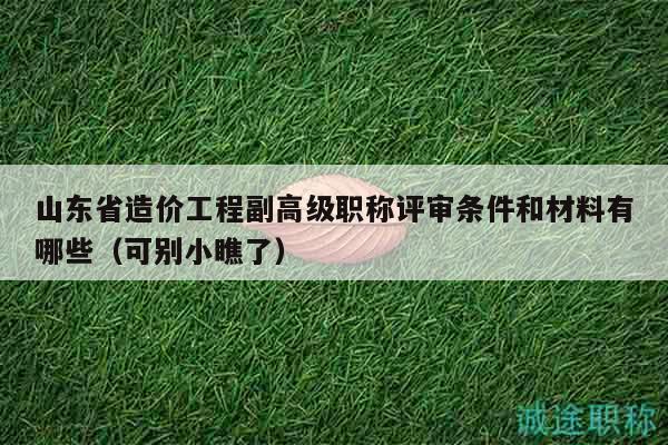 山东省造价工程副高级职称评审条件和材料有哪些（可别小瞧了）