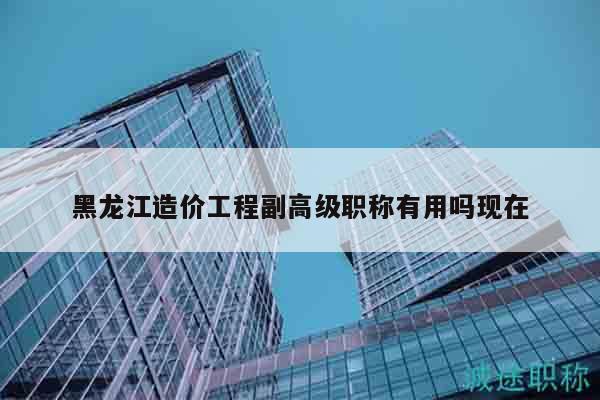 黑龙江造价工程副高级职称有用吗现在