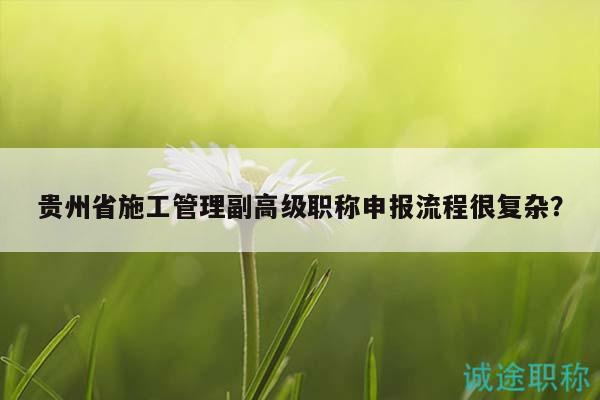 贵州省施工管理副高级职称申报流程很复杂？