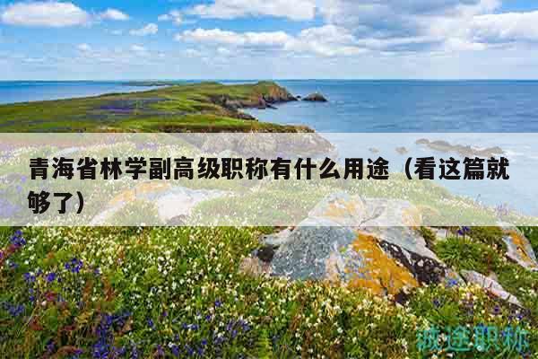 青海省林学副高级职称有什么用途（看这篇就够了）
